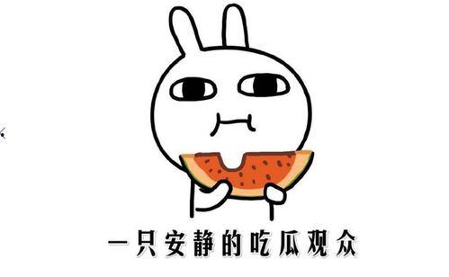 网上吃瓜什么意思